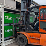 Ceva